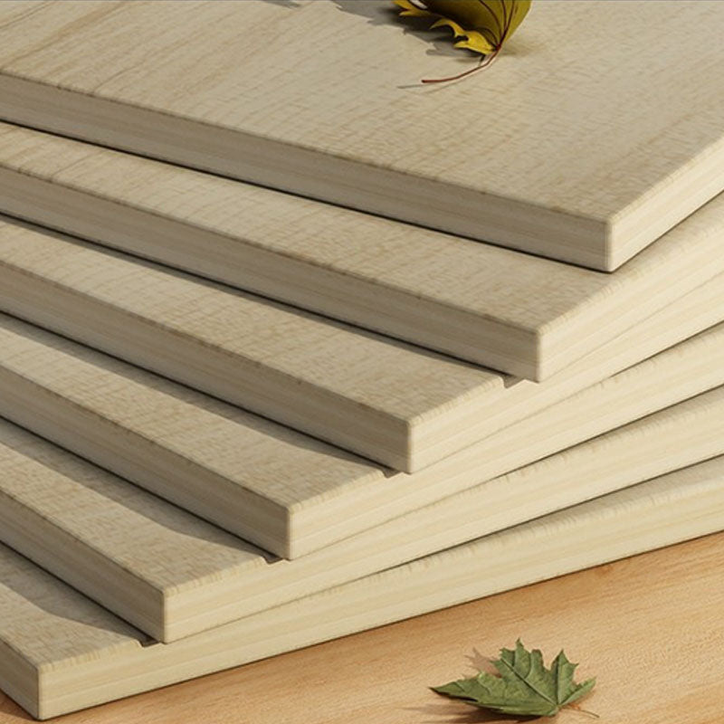 Bibliothèque de style moderne bois fermé étagère arrière avec porte pour le bureau