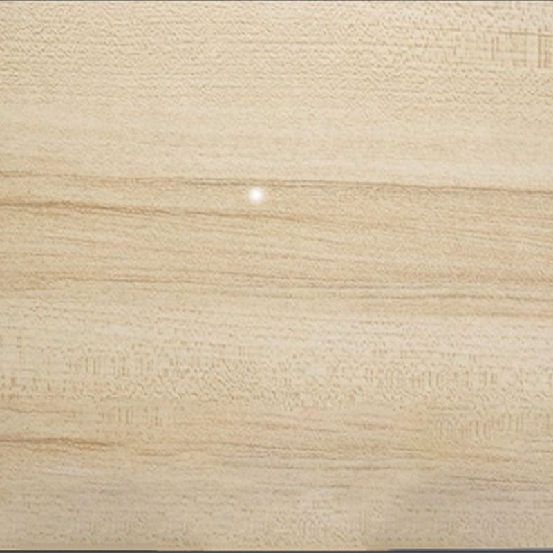 Bibliothèque de style moderne bois fermé étagère arrière avec porte pour le bureau