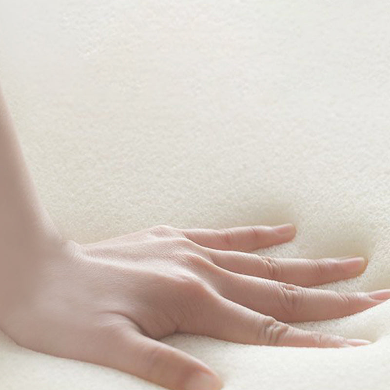 Stationary Stain Resistant Genuine Leather Living Room Pillow Top Arm Sofa Clearhalo 'furn' 'furn_sofas' 'Furniture' 'Living Room Furniture' 'Sofa' 'sofas' 5314141