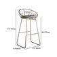 Coffeeshop Modern Barstool Circulaire stoel Bar Kruk met goudbasis