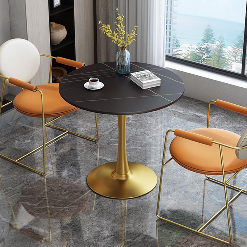 Lederpolsterer Armstuhl König Louis Back Stuhl für Esszimmer