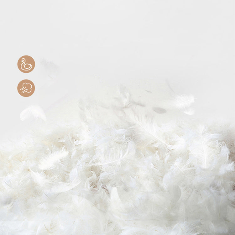 Legno dell'Europa settentrionale e vera pelle con testata imbottita