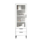Contemporary Bar Pulls Accent Chest in White/ Blue/ Green with Steel Legs