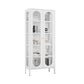 Modern Style Standard Bookshelf Metal Closed Back Bookcase with Door for Office