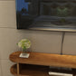 Matte afwerking Wall gemonteerde media-stand met planken Scandinavische massieve hout tv-console