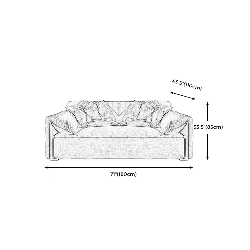 Stain Resistant Stationary 2-seater Pillow Top Arm Cushions Sofa Clearhalo 'furn' 'furn_sofas' 'Furniture' 'Living Room Furniture' 'Sofa' 'sofas' 5352789
