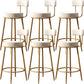 Glam Backrest Armless Counter Stool Iron Kitchen Bar Stool with Cushion and Pedal