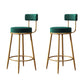 Glam Backrest Armless Counter Stool Iron Kitchen Bar Stool with Cushion and Pedal
