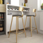 Glam Armless Backrest Counter Stool Steel Cafe Bar Stool with Cushion and Pedal Clearhalo 'Bar Furniture' 'Bar Stools' 'bar_stools' 'furn' 'furn_bar_stools' 'Furniture' 'Kitchen & Dining Furniture' 5356793