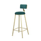 Glam Armless Backrest Counter Stool Steel Cafe Bar Stool with Cushion and Pedal Clearhalo 'Bar Furniture' 'Bar Stools' 'bar_stools' 'furn' 'furn_bar_stools' 'Furniture' 'Kitchen & Dining Furniture' 5356798