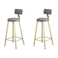 Glam Armless Backrest Counter Stool Steel Cafe Bar Stool with Cushion and Pedal Grey 2 Piece Set Clearhalo 'Bar Furniture' 'Bar Stools' 'bar_stools' 'furn' 'furn_bar_stools' 'Furniture' 'Kitchen & Dining Furniture' 5356811