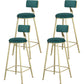 Glam Armless Backrest Counter Stool Steel Cafe Bar Stool with Cushion and Pedal Green 4 Piece Set Clearhalo 'Bar Furniture' 'Bar Stools' 'bar_stools' 'furn' 'furn_bar_stools' 'Furniture' 'Kitchen & Dining Furniture' 5356832