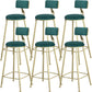 Glam Armless Backrest Counter Stool Steel Cafe Bar Stool with Cushion and Pedal Green 6 Piece Set Clearhalo 'Bar Furniture' 'Bar Stools' 'bar_stools' 'furn' 'furn_bar_stools' 'Furniture' 'Kitchen & Dining Furniture' 5356833