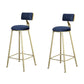 Glam Armless Backrest Counter Stool Steel Cafe Bar Stool with Cushion and Pedal Blue 2 Piece Set Clearhalo 'Bar Furniture' 'Bar Stools' 'bar_stools' 'furn' 'furn_bar_stools' 'Furniture' 'Kitchen & Dining Furniture' 5356839