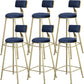 Glam Armless Backrest Counter Stool Steel Cafe Bar Stool with Cushion and Pedal Blue 6 Piece Set Clearhalo 'Bar Furniture' 'Bar Stools' 'bar_stools' 'furn' 'furn_bar_stools' 'Furniture' 'Kitchen & Dining Furniture' 5356841