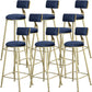 Glam Armless Backrest Counter Stool Steel Cafe Bar Stool with Cushion and Pedal Blue 8 Piece Set Clearhalo 'Bar Furniture' 'Bar Stools' 'bar_stools' 'furn' 'furn_bar_stools' 'Furniture' 'Kitchen & Dining Furniture' 5356842