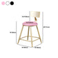 Glam Armless Backrest Counter Stool Steel Cafe Bar Stool with Cushion and Pedal Clearhalo 'Bar Furniture' 'Bar Stools' 'bar_stools' 'furn' 'furn_bar_stools' 'Furniture' 'Kitchen & Dining Furniture' 5356843