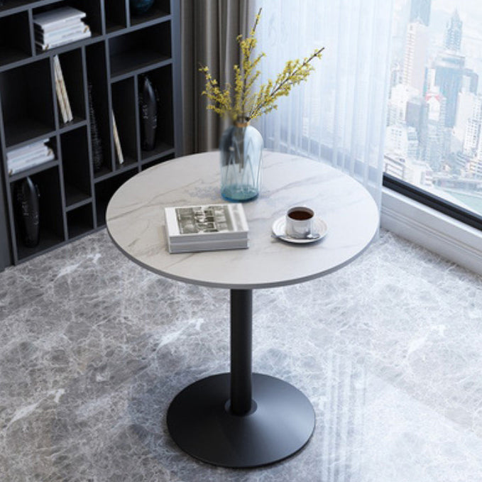 Metal Traditional Luxury Round Dining Table for Home Sintered Stone Table with Pedestal White Black Clearhalo 'Dining Tables & Seating' 'Dining Tables' 'dining_table' 'furn' 'furn_dining_table' 'Furniture' 'Kitchen & Dining Furniture' 5357388
