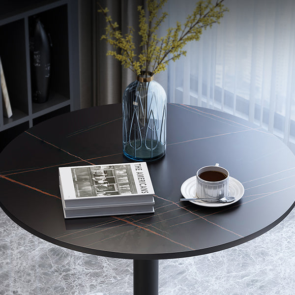 Metal Traditional Luxury Round Dining Table for Home Sintered Stone Table with Pedestal Clearhalo 'Dining Tables & Seating' 'Dining Tables' 'dining_table' 'furn' 'furn_dining_table' 'Furniture' 'Kitchen & Dining Furniture' 5357396