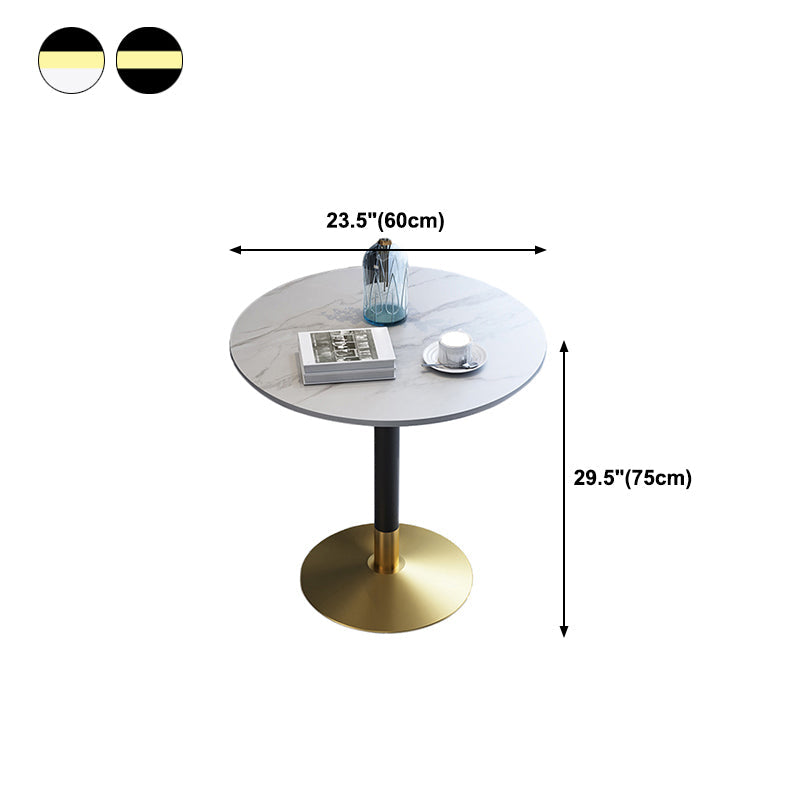 Metal Traditional Luxury Round Dining Table for Home Sintered Stone Table with Pedestal Clearhalo 'Dining Tables & Seating' 'Dining Tables' 'dining_table' 'furn' 'furn_dining_table' 'Furniture' 'Kitchen & Dining Furniture' 5357401