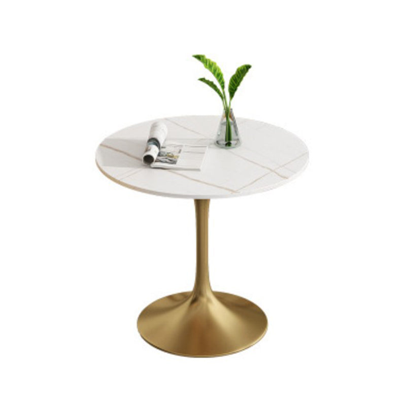 Metal Traditional Luxury Round Dining Table Sintered Stone Table with Tulip Base White Gold Without Chairs Clearhalo 'Dining Tables & Seating' 'Dining Tables' 'dining_table' 'furn' 'furn_dining_table' 'Furniture' 'Kitchen & Dining Furniture' 5357425