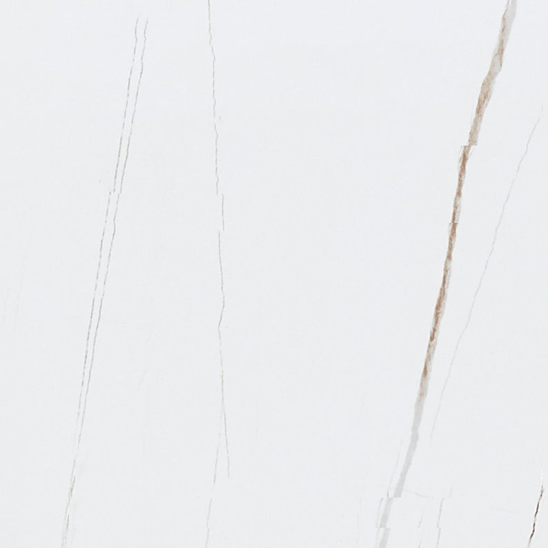 Traditional Luxury White in Marble Counter Rectangle Dining Table for Kitchen Clearhalo 'Dining Tables & Seating' 'Dining Tables' 'dining_table' 'furn' 'furn_dining_table' 'Furniture' 'Kitchen & Dining Furniture' 5357446