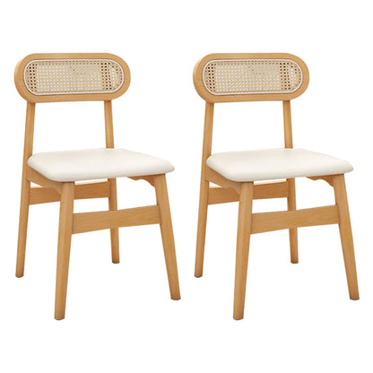 Traditional Solid Wood Side Chair Upholstered Side Chair for Kitchen White 2 Piece Set Clearhalo 'Dining Chairs' 'Dining Tables & Seating' 'dining_chair' 'furn' 'furn_dining_chair' 'Furniture' 'Kitchen & Dining Furniture' 5357847