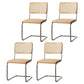Rattan Armless Dining Chair Contemporary Side Chair with Silver Base