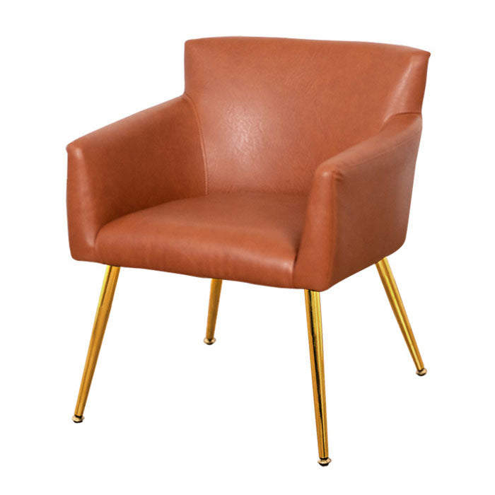 Modern Faux Leather Dining Chair Parsons Chair in Matte Finish for Home