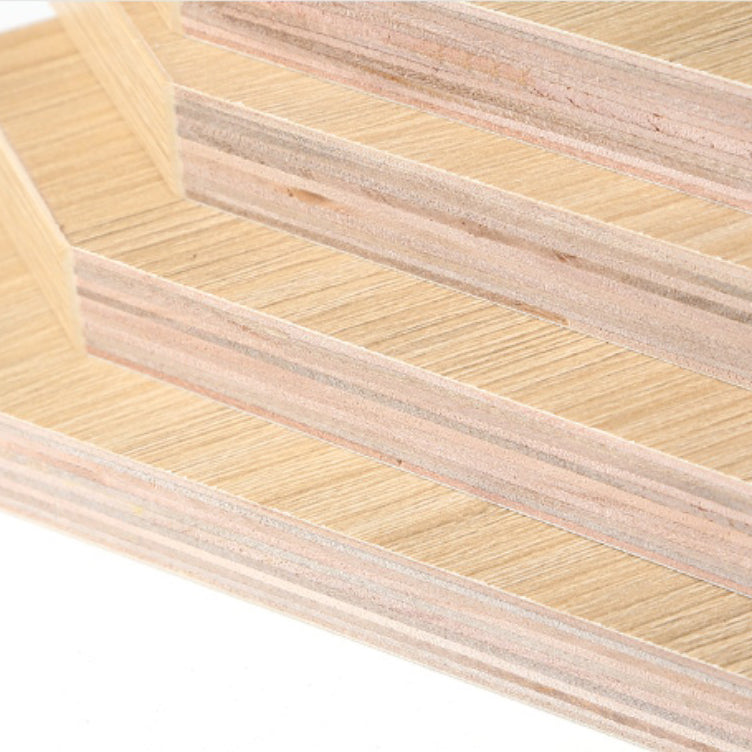 Contemporary Wood Bookshelf Closed Back Bookcase for Home Office Clearhalo 'Bookcases' 'furn' 'furn_bookcases' 'Furniture' 'Office Furniture' 5369175