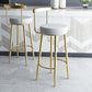 Glam Matte Finish Upholstered Bar Stools Coffee Shop Low Back Stool
