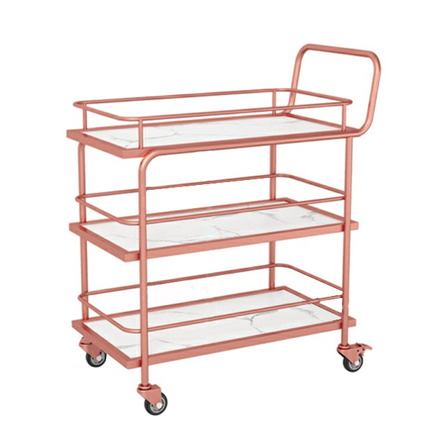 Modern 33.86"H Rolling Prep Table Rectangular Metal Prep Table for Home Use