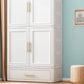 Contemporary 2-Door Wardrobe Armoire Plastic Storage Cabinet Clearhalo 'Armoires & Wardrobes' 'armoires_wardrobes' 'Bedroom Furniture' 'furn' 'furn_armoires_wardrobes' 'Furniture' 5383390