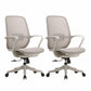 Ergonomic Mesh Desk Chair Contemporary Home Office Fixed Arms Office Chair
