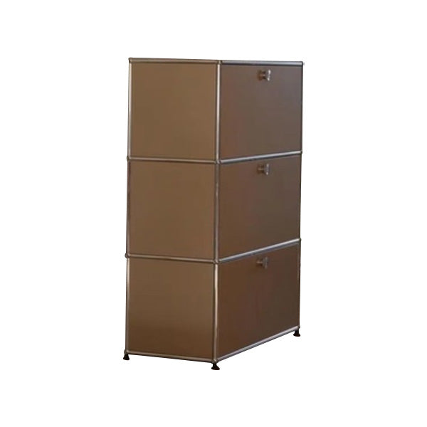 Aparador de estilo de estilo contemporáneo de estilo de madera con marco de metal