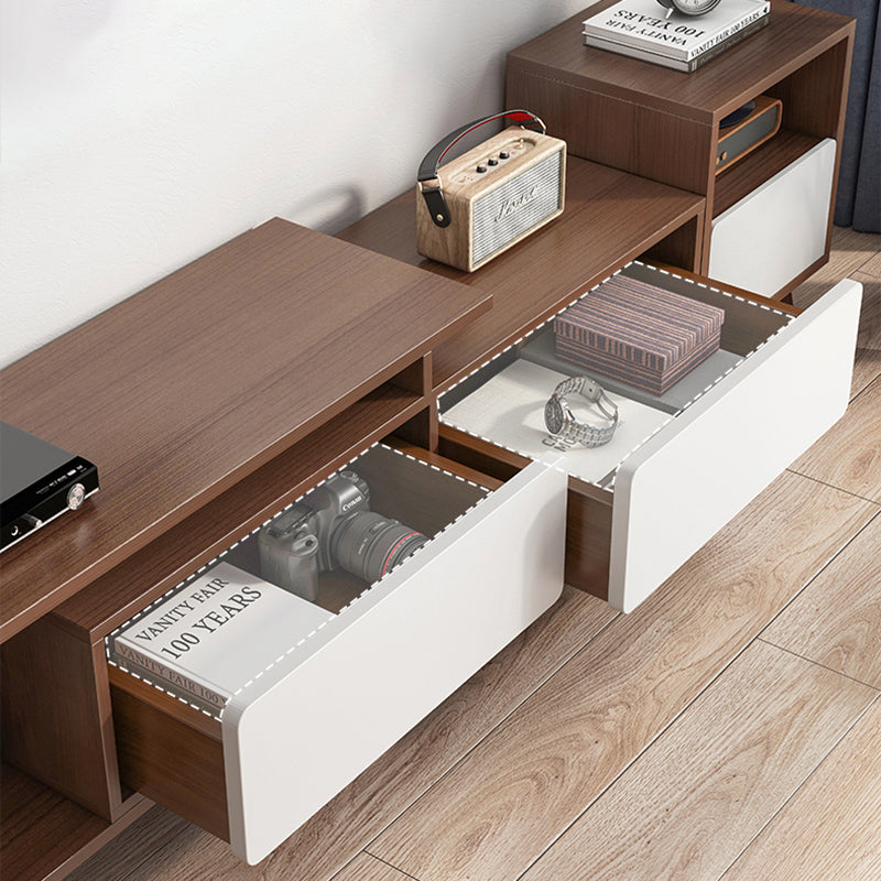 Engineered Wood TV Stand Console with Cabinet 2-Drawer TV Media Stand Clearhalo 'furn' 'furn_tv_stands_entertainment_centers' 'Furniture' 'Living Room Furniture' 'TV Stands & Entertainment Centers' 'TV Stands & Media Storage Furniture' 'tv_stands_entertainment_centers' 5420776