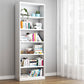 Closed Back Metal Bookshelf Modern Rectangle Storage Standard Bookshelf