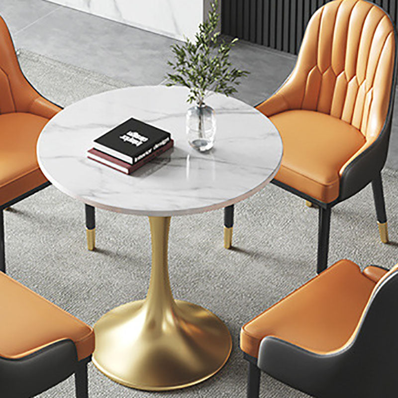 Metal Traditional Luxury Round Table for Home Sintered Stone Table with Tulip White 27.6"L x 27.6"W x 29.5"H Without Chairs Clearhalo 'Dining Tables & Seating' 'Dining Tables' 'dining_table' 'furn' 'furn_dining_table' 'Furniture' 'Kitchen & Dining Furniture' 5434241