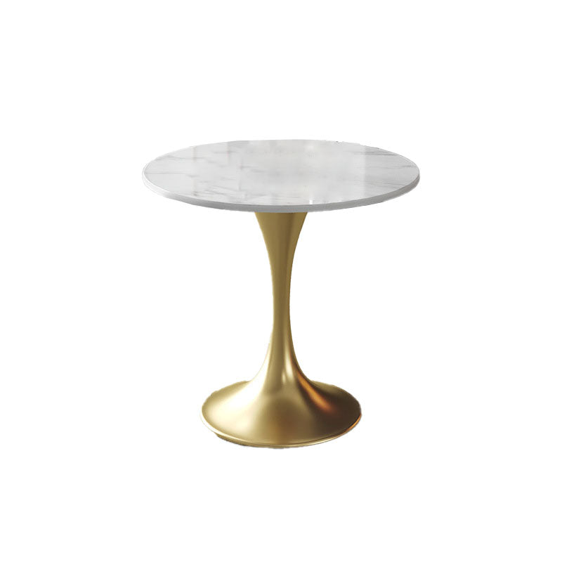 Metal Traditional Luxury Round Table for Home Sintered Stone Table with Tulip White 31.5"L x 31.5"W x 29.5"H Without Chairs Clearhalo 'Dining Tables & Seating' 'Dining Tables' 'dining_table' 'furn' 'furn_dining_table' 'Furniture' 'Kitchen & Dining Furniture' 5434242