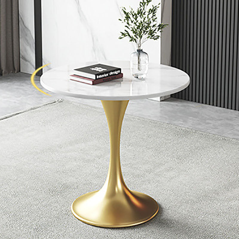 Metal Traditional Luxury Round Table for Home Sintered Stone Table with Tulip Clearhalo 'Dining Tables & Seating' 'Dining Tables' 'dining_table' 'furn' 'furn_dining_table' 'Furniture' 'Kitchen & Dining Furniture' 5434243