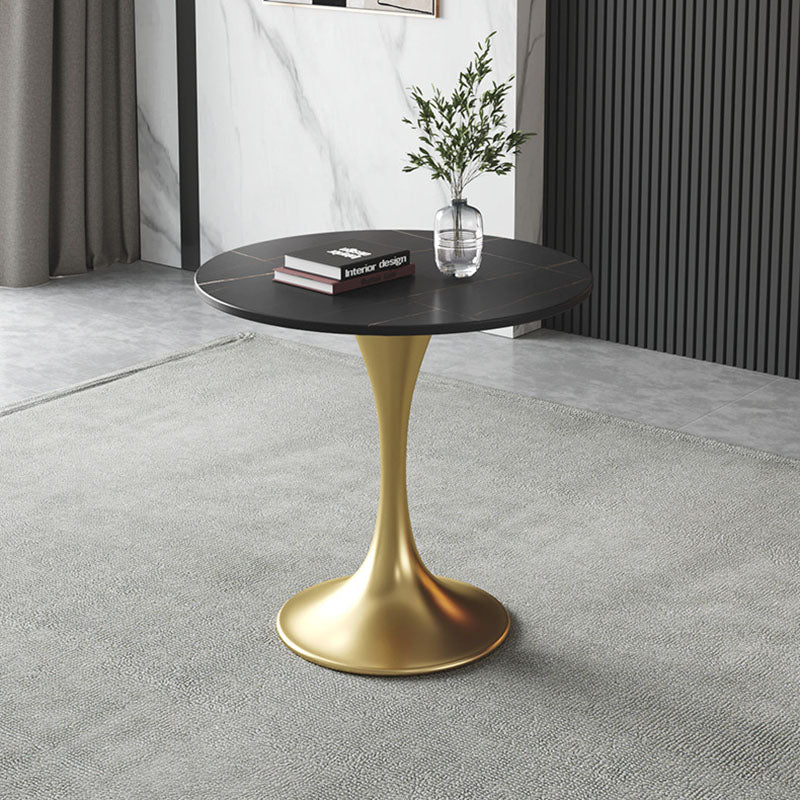 Metal Traditional Luxury Round Table for Home Sintered Stone Table with Tulip Clearhalo 'Dining Tables & Seating' 'Dining Tables' 'dining_table' 'furn' 'furn_dining_table' 'Furniture' 'Kitchen & Dining Furniture' 5434248