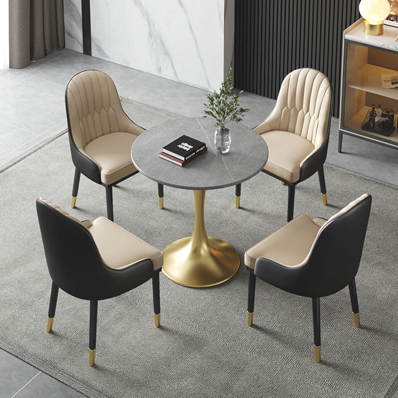 Metal Traditional Luxury Round Table for Home Sintered Stone Table with Tulip Light Gray Without Chairs Clearhalo 'Dining Tables & Seating' 'Dining Tables' 'dining_table' 'furn' 'furn_dining_table' 'Furniture' 'Kitchen & Dining Furniture' 5434249