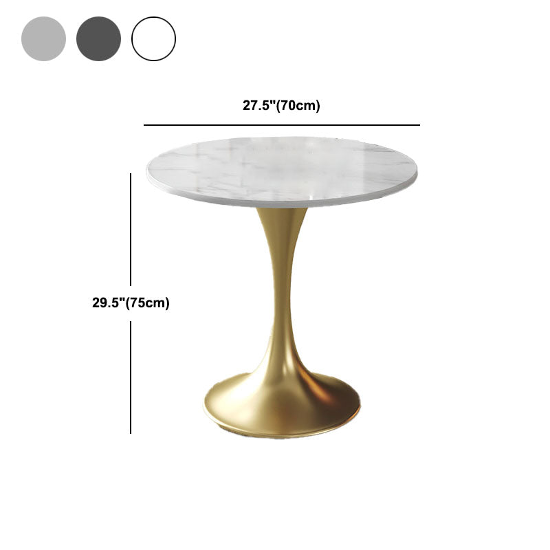 Metal Traditional Luxury Round Table for Home Sintered Stone Table with Tulip Clearhalo 'Dining Tables & Seating' 'Dining Tables' 'dining_table' 'furn' 'furn_dining_table' 'Furniture' 'Kitchen & Dining Furniture' 5434251