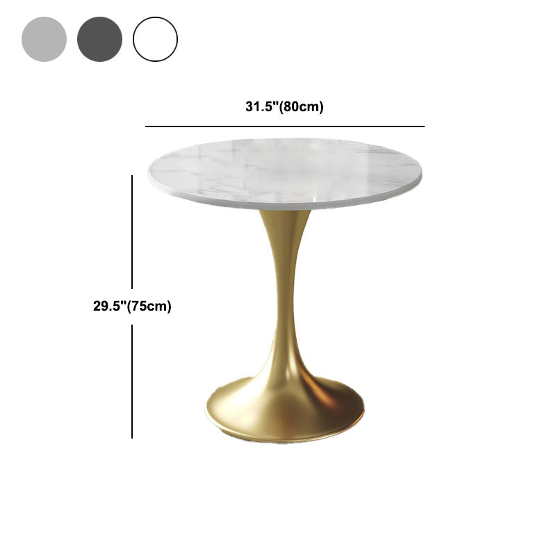 Metal Traditional Luxury Round Table for Home Sintered Stone Table with Tulip Clearhalo 'Dining Tables & Seating' 'Dining Tables' 'dining_table' 'furn' 'furn_dining_table' 'Furniture' 'Kitchen & Dining Furniture' 5434252