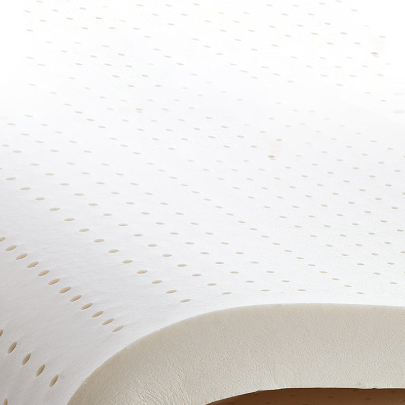 Cotton Blend Contemporary Convertible Bed Sofa Couch with Pillows Clearhalo 'furn' 'furn_sofas' 'Furniture' 'Living Room Furniture' 'Sofa' 'sofas' 5436600