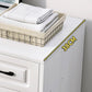Modern Rectangle White Manufactured Wood Water Resistant Chest