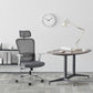 Zeitgenössischer Stil Office Chair Lumbal Support Mesh Schreibtischstuhl