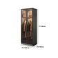 Modern Storage Cabinet with Glass Door Mirrored Finish Cabinet