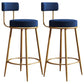 Nordic Glam Style Bar Stool Round Bar Stool with Metal Legs for Home
