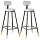 Modern Armless Backrest Counter Stool Steel Barber Shop Bar Stool with Cushion and Pedal